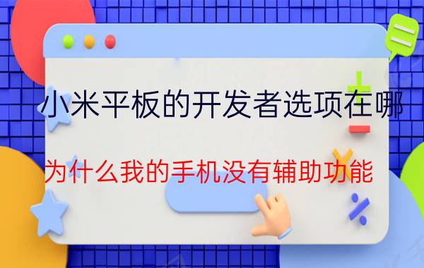 小米平板的开发者选项在哪 为什么我的手机没有辅助功能？